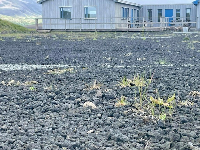 2022 alfsnes25mai03